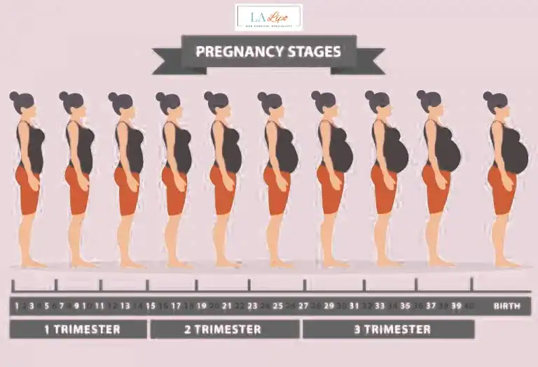 First Trimester (Weeks 1–12): Early Changes You Might Not Notice Keighley